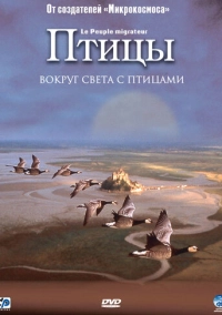 Птицы (2001)