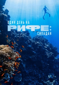 Один день на рифе: Сипадан (2023)