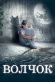 Волчок (2009)