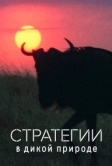 Стратегии в дикой природе (2022)