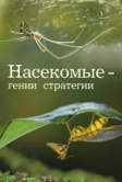 Насекомые - гении стратегии (2021)