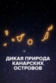 Дикая природа Канарских островов (2021)